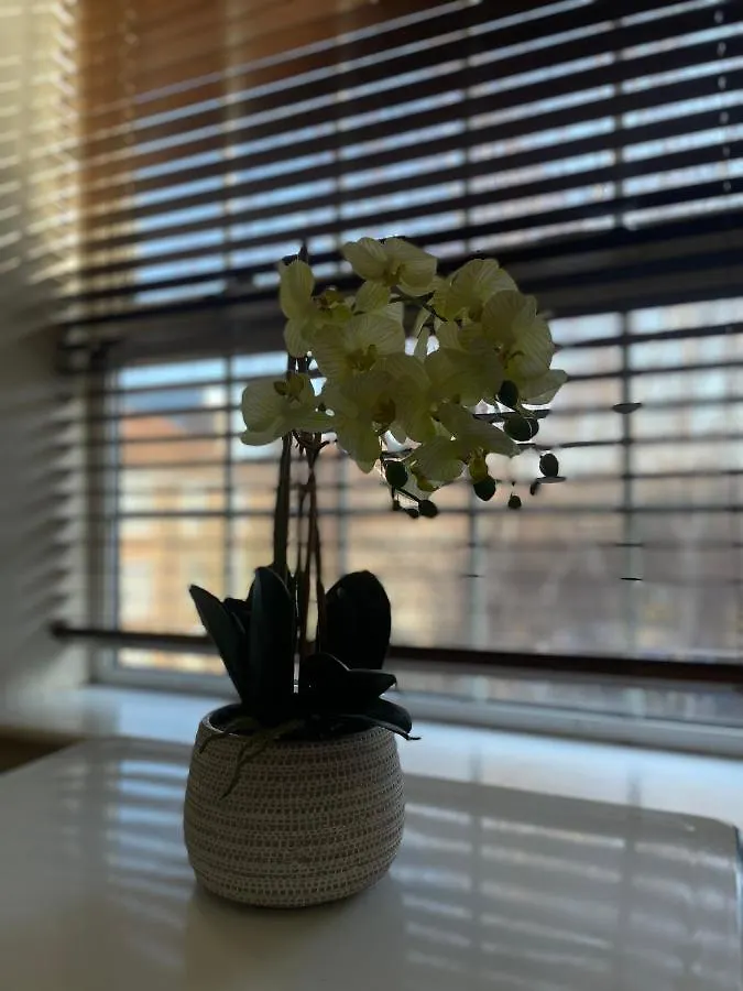 شقة Stunning 1 Bed Flat In The Heart Of Greenwich لندن